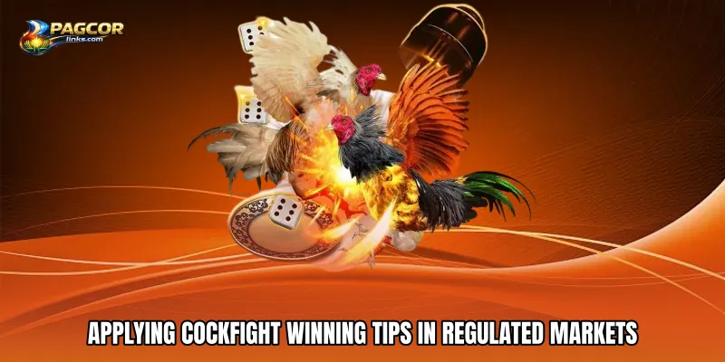 Applying Cockfight winning tips in regulated markets