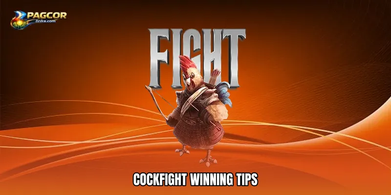 Cockfight winning tips