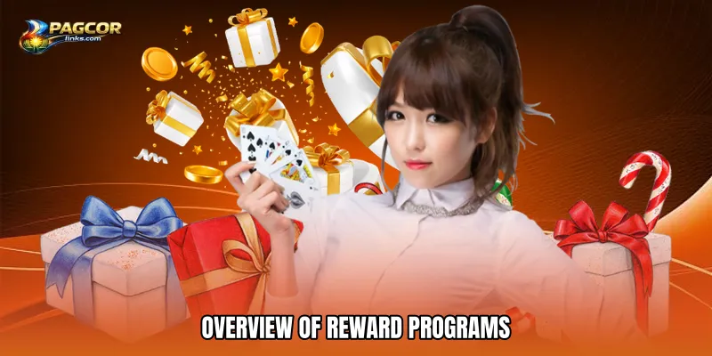 Overview of Reward Programs