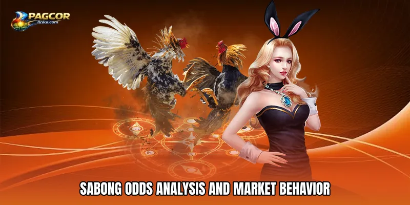 Sabong odds analysis and market behavior